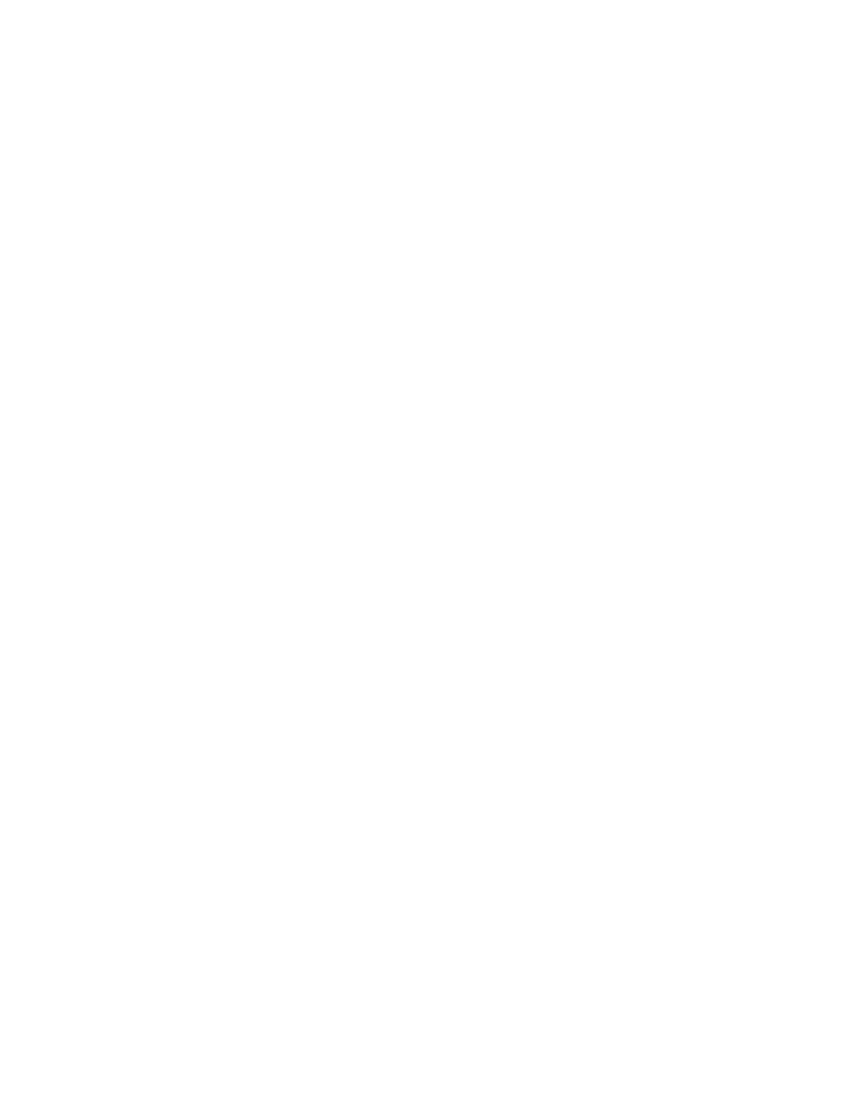 VDST-Logo_weiss_transparent